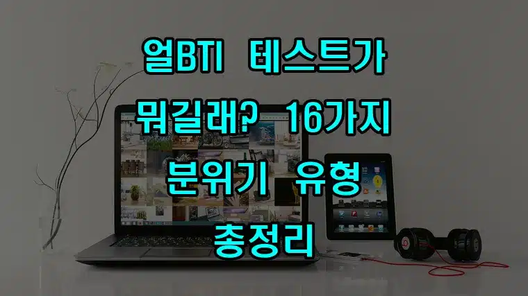 얼BTI_테스트가_뭐길래_16가지_분위기_유형_총정리