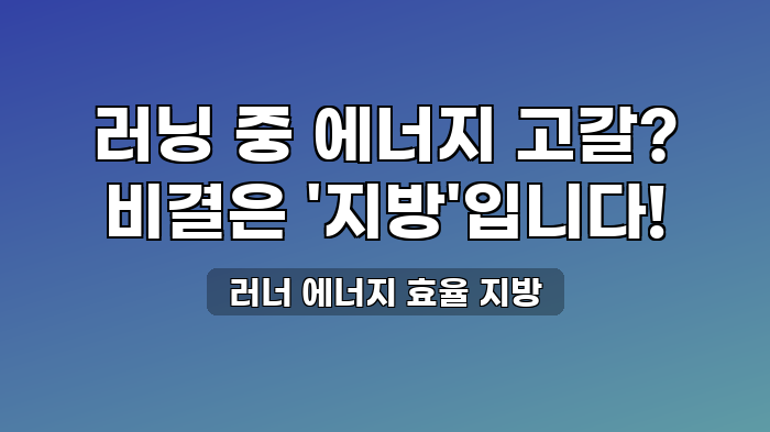 러너 에너지 효율 지방